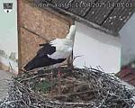 Capi_Dubne_20250411_140503.jpg