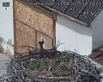 Capi_Dubne_20250411_142003.jpg