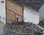 Capi_Dubne_20250411_142502.jpg