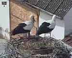 Capi_Dubne_20250411_143502.jpg