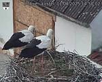 Capi_Dubne_20250411_145002.jpg