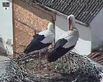 Capi_Dubne_20250411_150503.jpg
