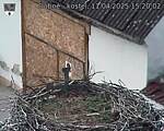 Capi_Dubne_20250411_152002.jpg