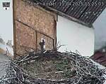 Capi_Dubne_20250411_152503.jpg