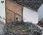 Capi_Dubne_20250411_153002.jpg