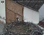 Capi_Dubne_20250411_155002.jpg