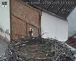 Capi_Dubne_20250411_155503.jpg