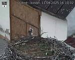 Capi_Dubne_20250411_161002.jpg