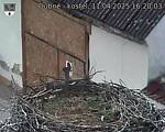 Capi_Dubne_20250411_162003.jpg