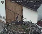 Capi_Dubne_20250411_162502.jpg