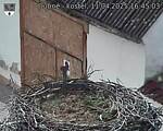 Capi_Dubne_20250411_164503.jpg