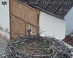 Capi_Dubne_20250411_165503.jpg
