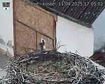 Capi_Dubne_20250411_170502.jpg