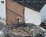 Capi_Dubne_20250411_171003.jpg