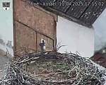 Capi_Dubne_20250411_171502.jpg