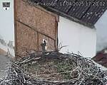 Capi_Dubne_20250411_172002.jpg