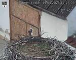 Capi_Dubne_20250411_172503.jpg