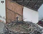 Capi_Dubne_20250411_173502.jpg