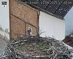 Capi_Dubne_20250411_174004.jpg