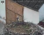Capi_Dubne_20250411_175003.jpg