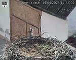 Capi_Dubne_20250411_175502.jpg