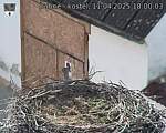 Capi_Dubne_20250411_180003.jpg