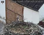 Capi_Dubne_20250411_180503.jpg