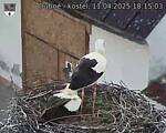 Capi_Dubne_20250411_181503.jpg