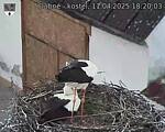 Capi_Dubne_20250411_182003.jpg