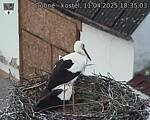 Capi_Dubne_20250411_183503.jpg