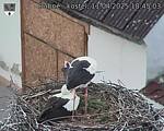 Capi_Dubne_20250411_184503.jpg