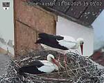 Capi_Dubne_20250411_190502.jpg