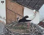 Capi_Dubne_20250411_192003.jpg
