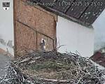 Capi_Dubne_20250411_192502.jpg