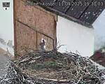Capi_Dubne_20250411_193003.jpg