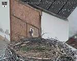 Capi_Dubne_20250411_193503.jpg