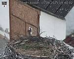 Capi_Dubne_20250411_194002.jpg