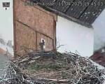 Capi_Dubne_20250411_194503.jpg