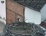 Capi_Dubne_20250411_195502.jpg