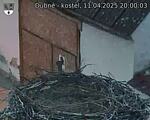Capi_Dubne_20250411_200003.jpg