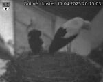 Capi_Dubne_20250411_201503.jpg