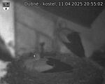 Capi_Dubne_20250411_205502.jpg