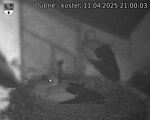 Capi_Dubne_20250411_210003.jpg