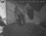 Capi_Dubne_20250411_213502.jpg