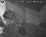 Capi_Dubne_20250411_221503.jpg