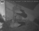 Capi_Dubne_20250411_232003.jpg