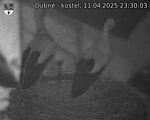 Capi_Dubne_20250411_233003.jpg