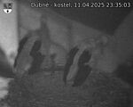 Capi_Dubne_20250411_233503.jpg