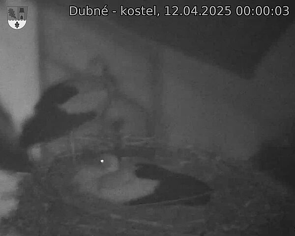 Capi_Dubne_20250412_000003.jpg (1350 x 1080)