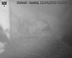 Capi_Dubne_20250412_015503.jpg